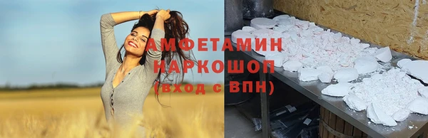 ПСИЛОЦИБИНОВЫЕ ГРИБЫ Сосновый Бор