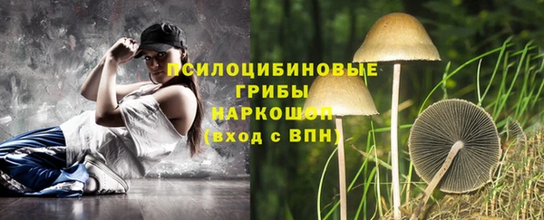 apvp Ладушкин
