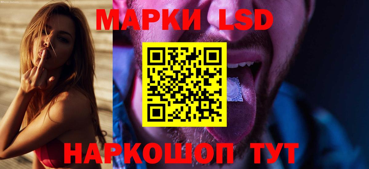 Галлюциногенные грибы Тейково