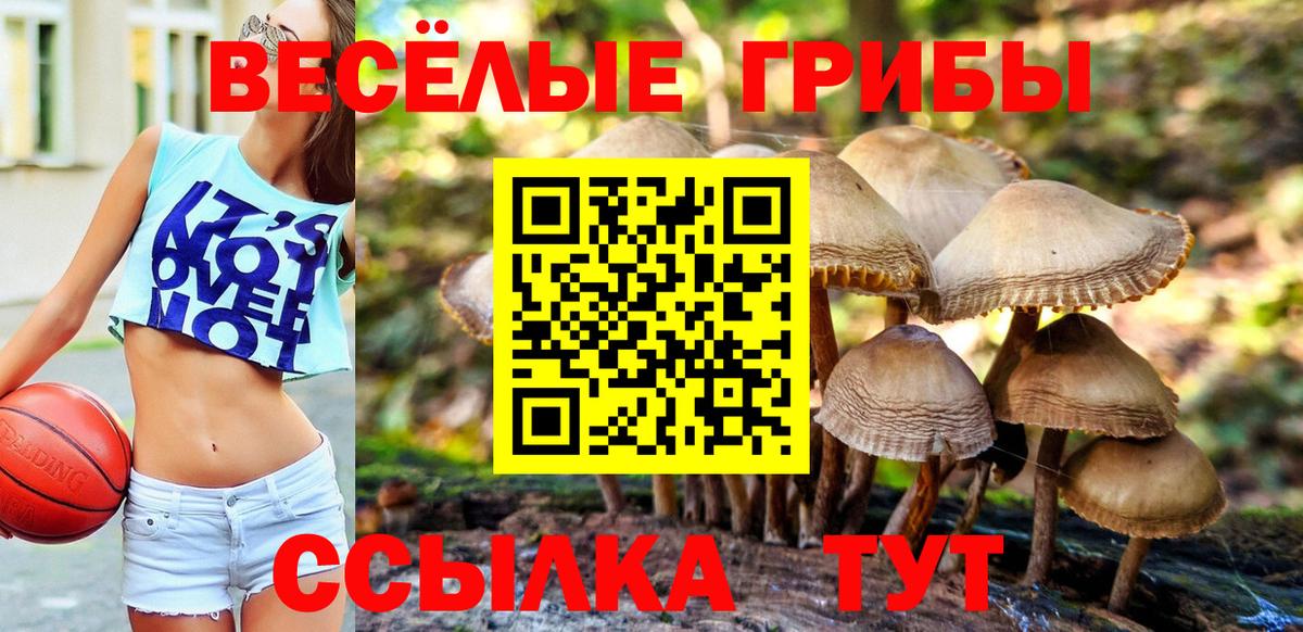 Псилоцибиновые грибы мицелий Тейково