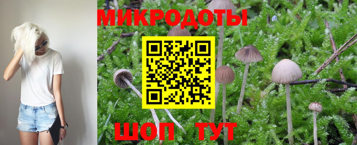 Тейково  Псилоцибиновые грибы мицелий  купить наркотик  Псилоцибиновые грибы MAGIC MUSHROOMS  Вход с VPN 