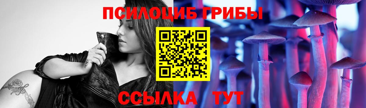 Псилоцибиновые грибы Magic Shrooms Тейково